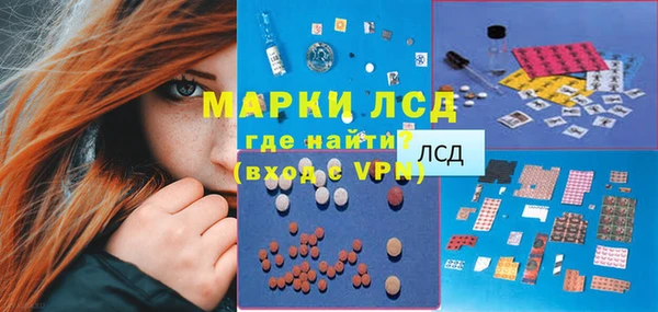 ECSTASY Богданович